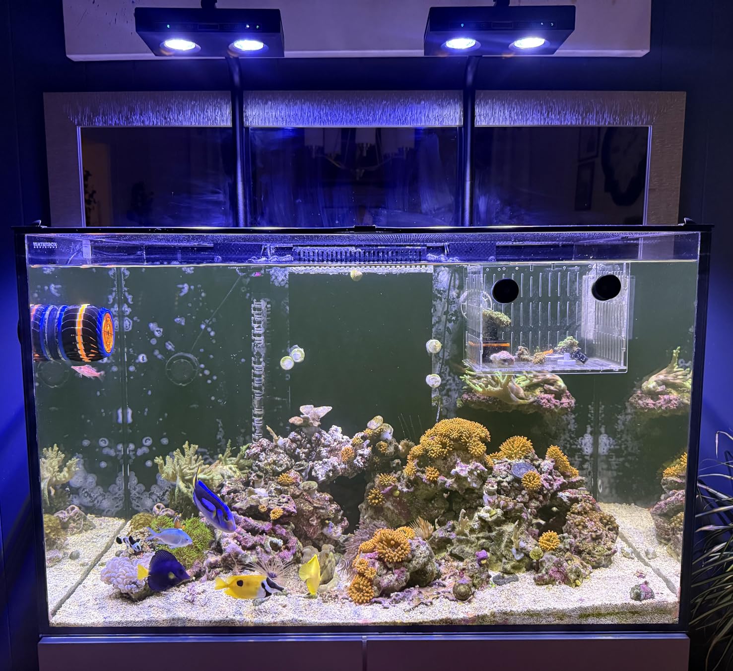 Aqua Marine Tank - Мощный светодиодный светильник для аквариума DIY