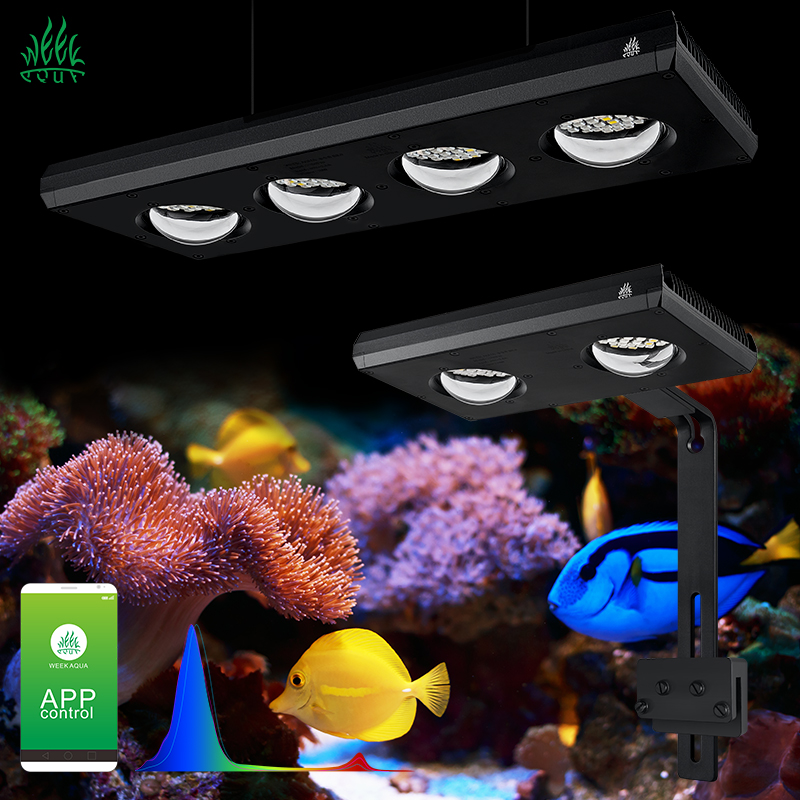 Aquarium Blue Marine Reef - ZXY Лидер продаж WEEKAQUA Z250 Z400sea