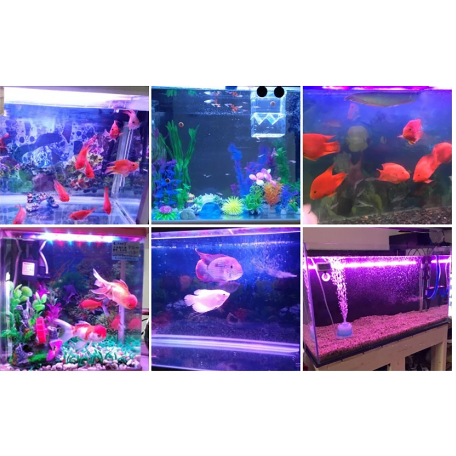 Marine Aquarium Uv - Светодиодное освещение для аквариумов 50W 60W