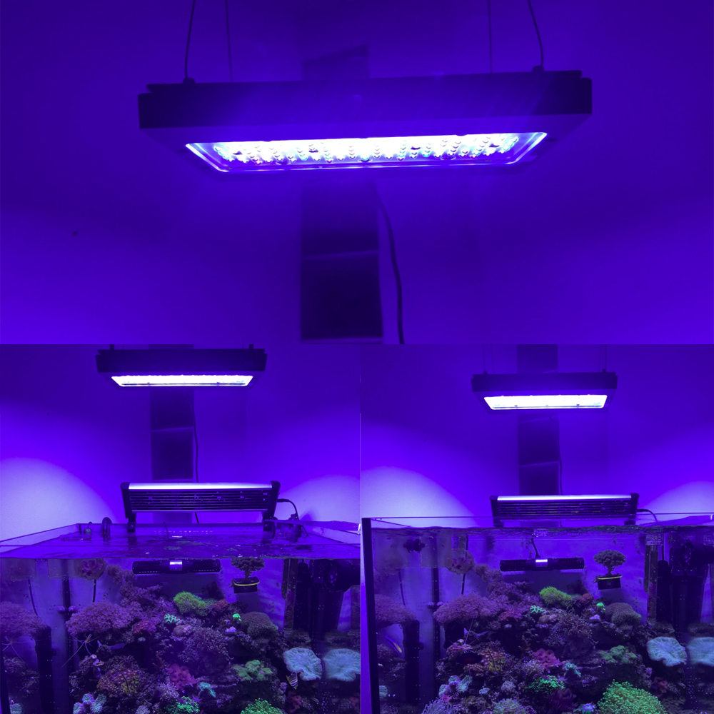 A8se Pro II MAX Blue 240W Свет – обзор и цена Aquarium Blue Marine Reef