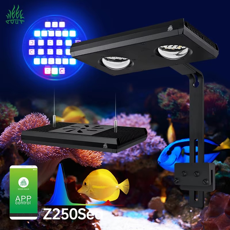 Светильник Week AQUA Z250/Z400 – обзор и цена Aqua Marine Tank