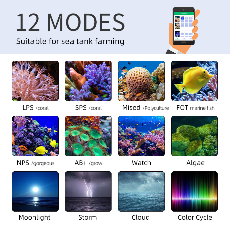 ZXY Лидер продаж WEEKAQUA Z250 – обзор и цена Aquarium Blue Marine Reef