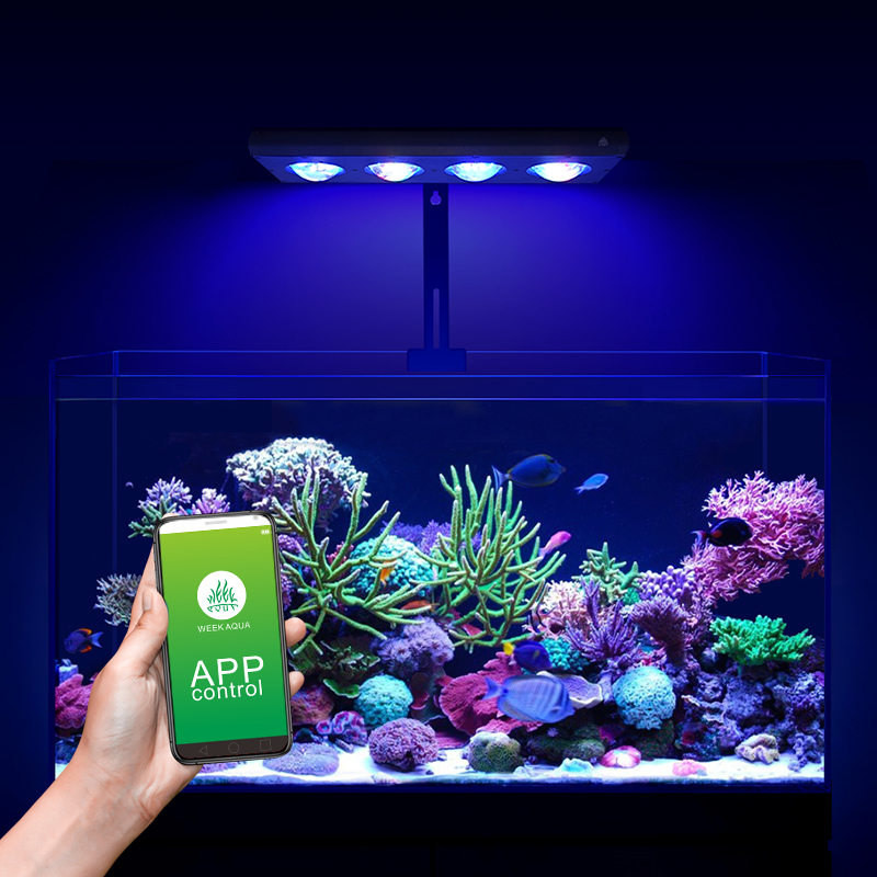 ZXY Лидер продаж WEEKAQUA Z250 – обзор и цена Aquarium Blue Marine Reef