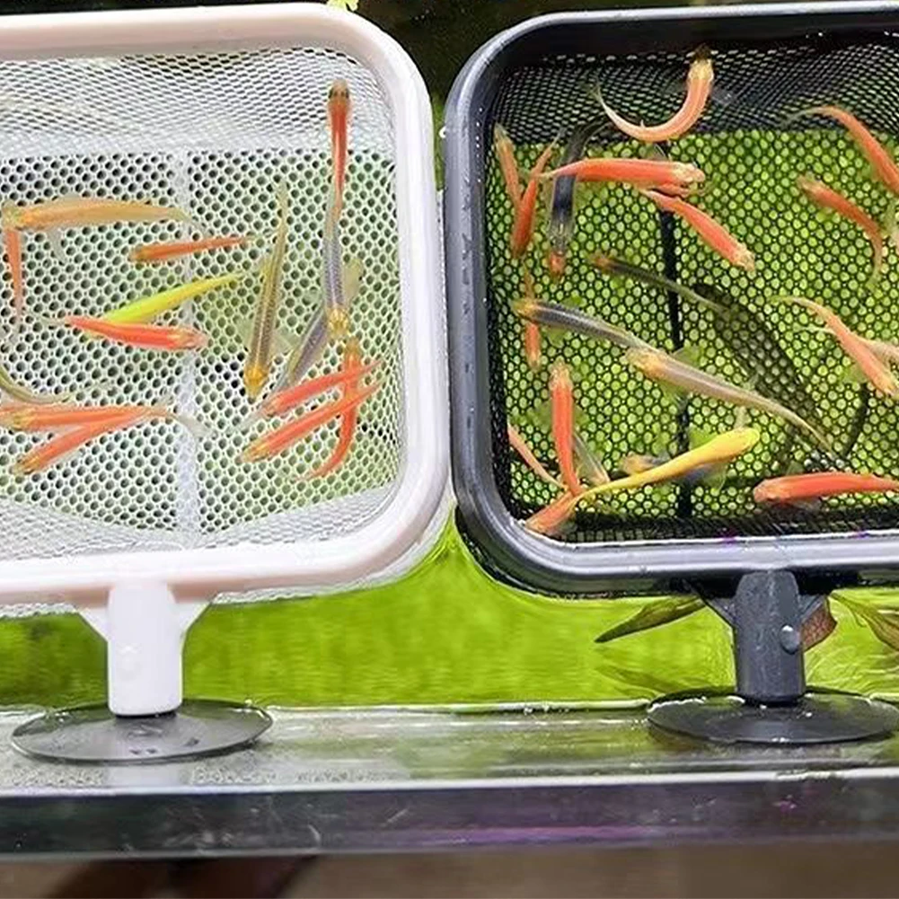 Рыболовная сачка, нержавеющая, – обзор и цена Aquarium Marineland