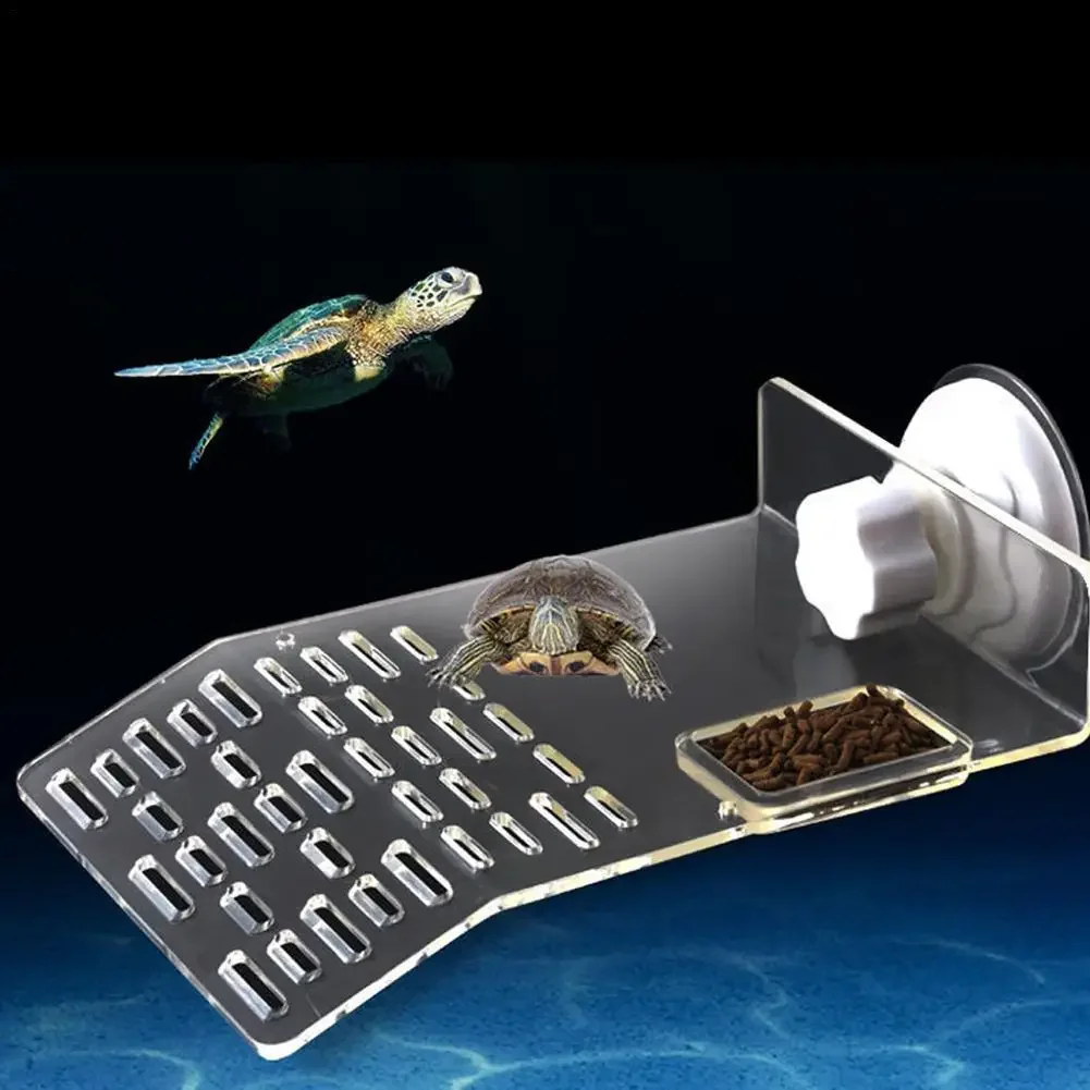 Платформа-пирс для черепах с л – обзор и цена Aquarium Marineland