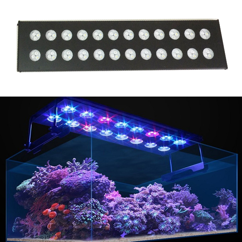 Spectra Aqua Helios Wi-Fi прог – обзор и цена Aqua Marine Tank
